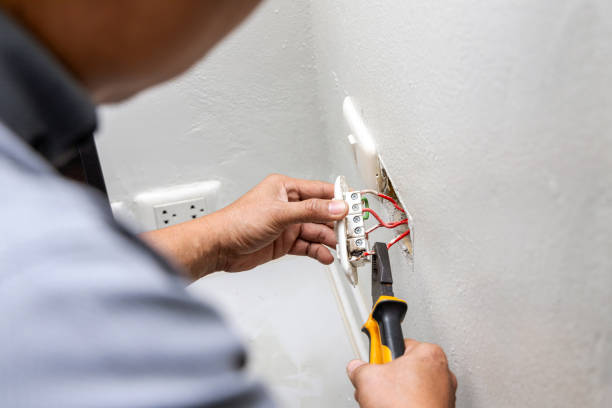 Best Electrical System Inspection  in Panguitch, UT